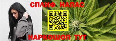 метадон Новодвинск