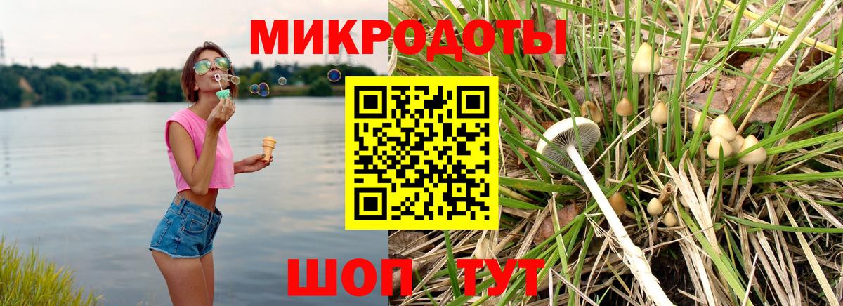 купить  сайты  Галлюциногенные грибы Cubensis  Тавда  Вход с VPN  Псилоцибиновые грибы мицелий 